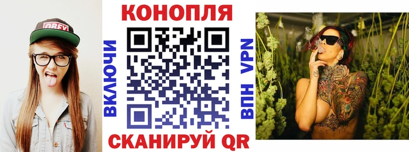 Бошки марихуана Amnesia  гидра как войти  Тимашёвск  цены наркотик 